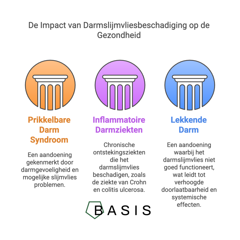 De impact van darmslijmvliesbeschadiging op de gezondheid - darmslijmvlies herstellen