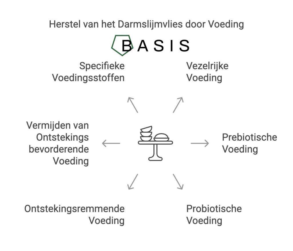 herstel van het darmslijmvlies door voeding - damslijmvlies herstellen