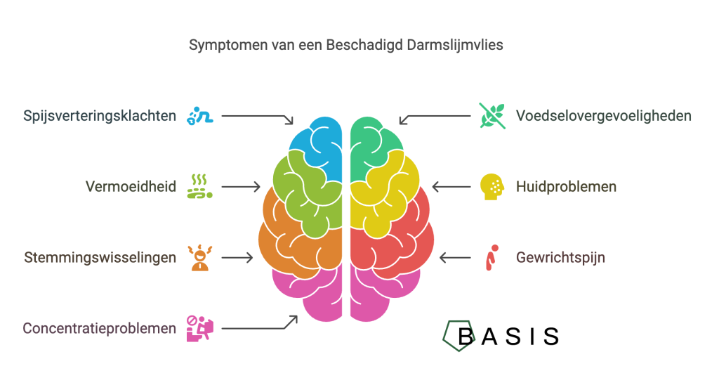 Symptomen van een beschadigd darmslijmvlies - darmslijmvlies herstellen